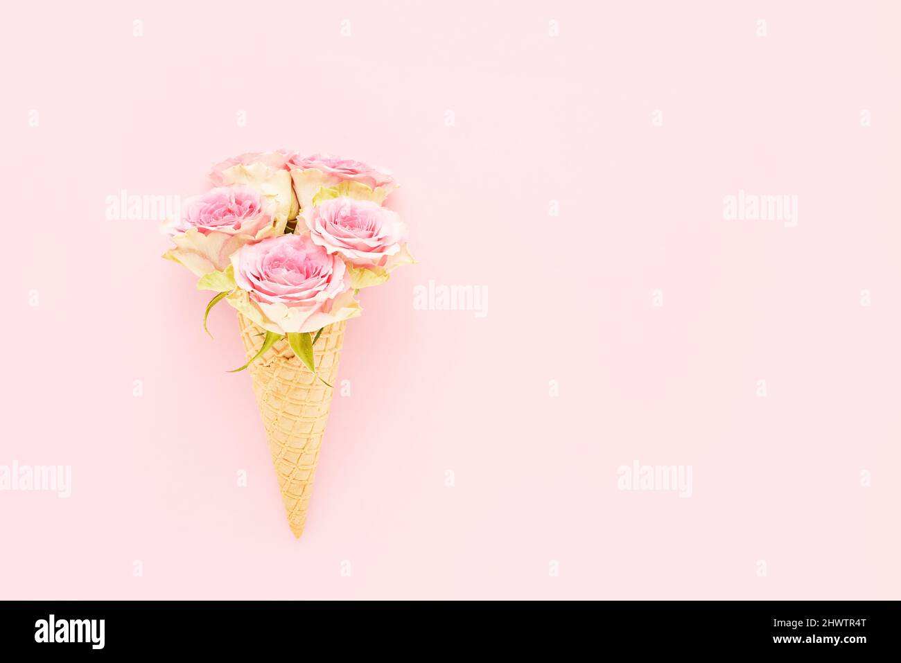 Pink roses in a waffle ice cream cone on a pink background. Mothers Day, Valentines Day, bachelorette, summer concept. Copy space, top view Stock Photo