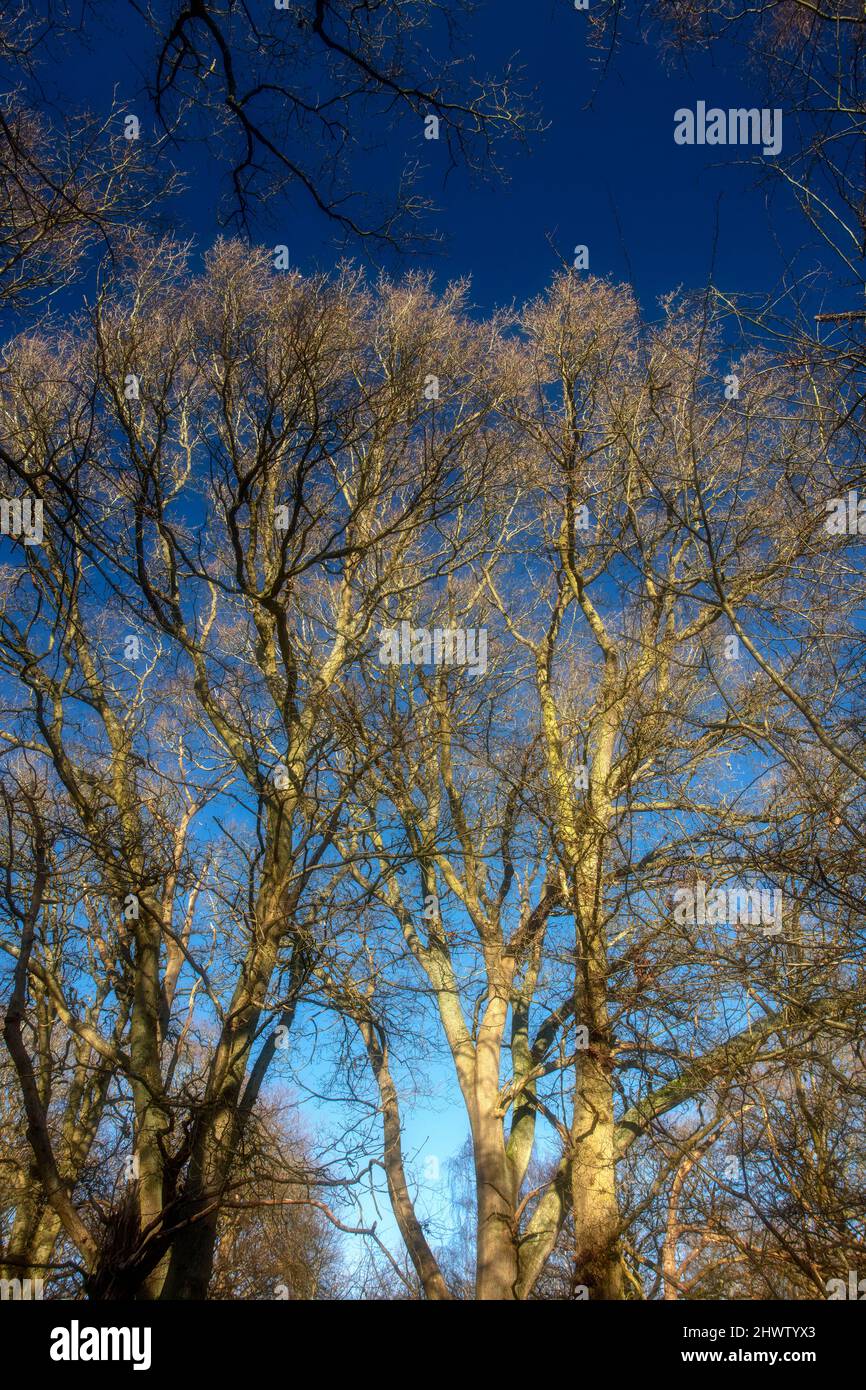 Natural patterns and textures in the environment, intimate landscape ...