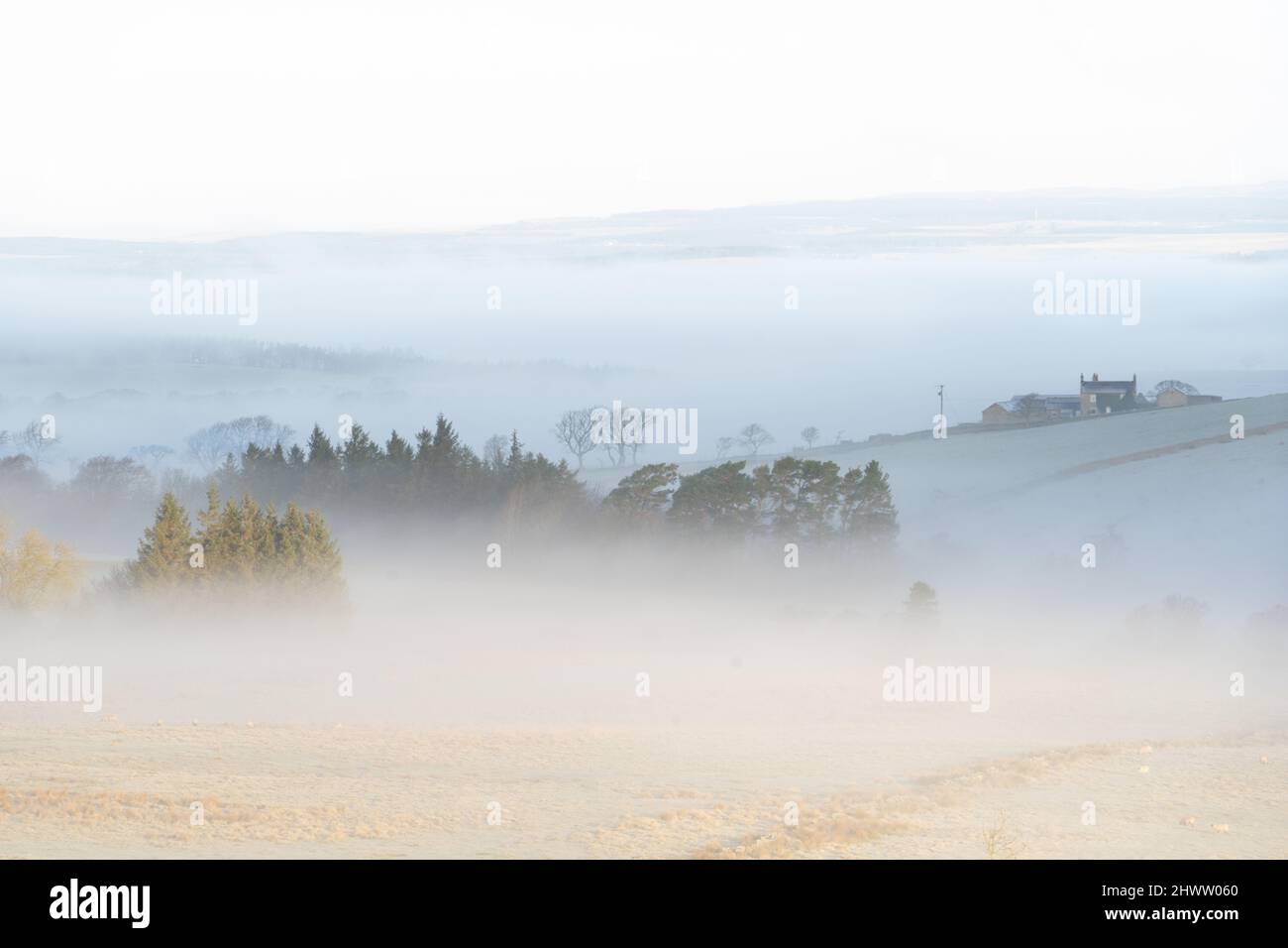 Rural foggy hi-res stock photography and images - Alamy