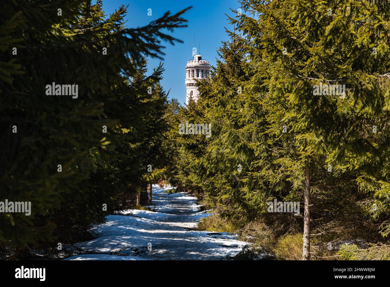 Owl Mountains, Poland - April 2021: Long snowy path to highest peak of Owl Mountains Great Owl with view to top part of viewing tower on top Stock Photo