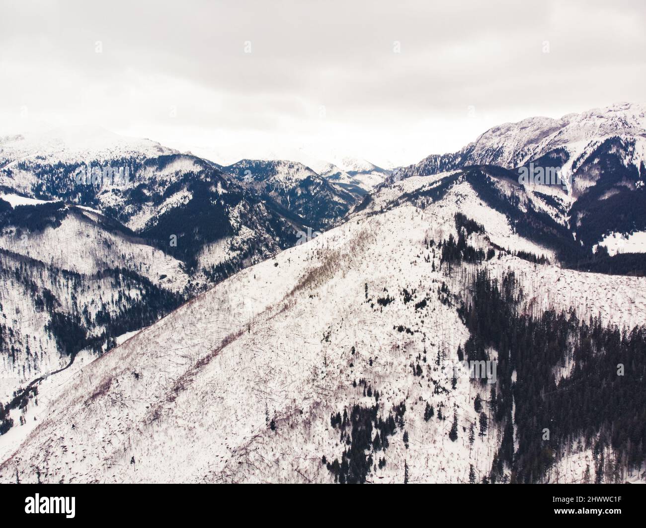 Natural winter mountain landscape from air at the drone. Black-and-white colors. High quality photo Stock Photo