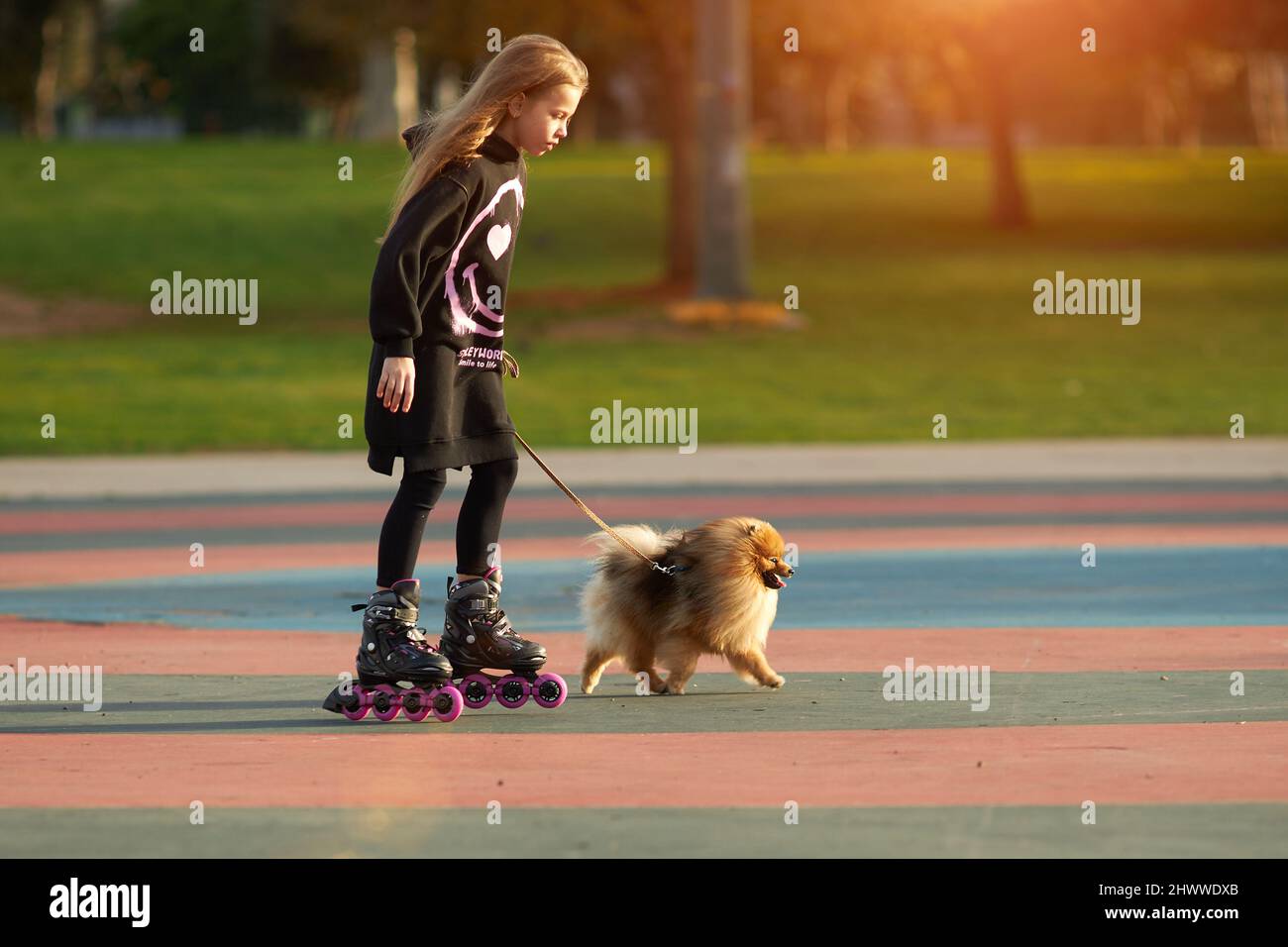 Little beautiful girl on roller skates walks a puppy in the park Stock Photo
