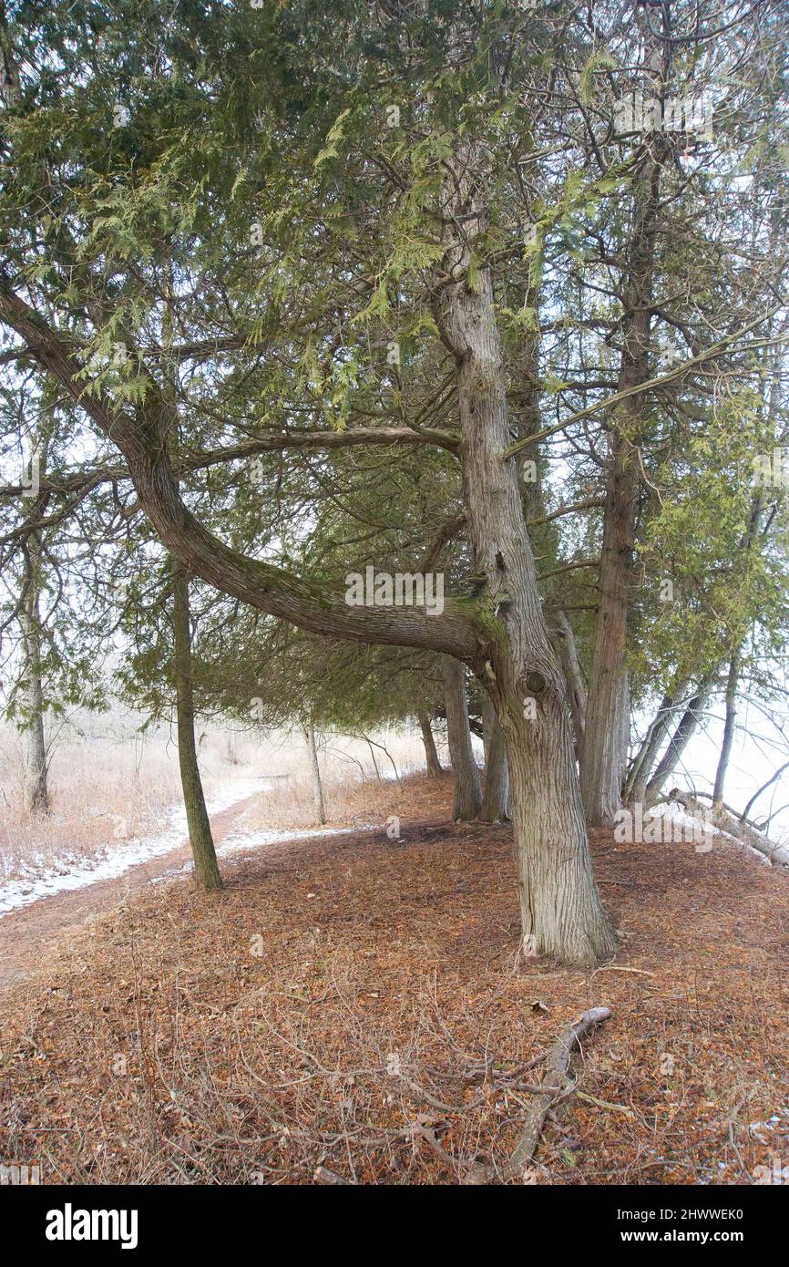 Harrignton Beach State Park in winter, Belgium, Wisconsin Stock Photo