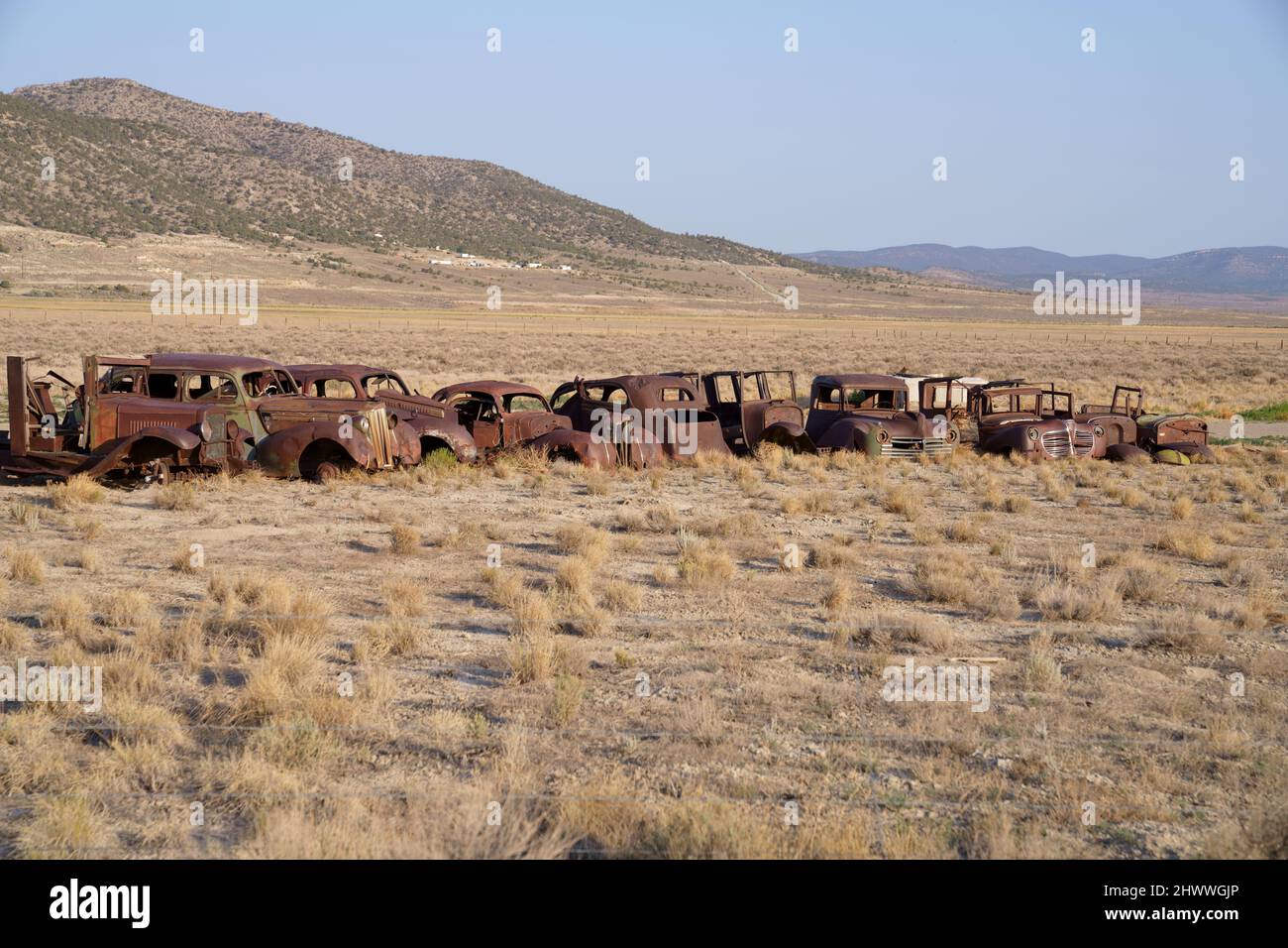 Old rusted cars in the desert area Stock Photo - Alamy