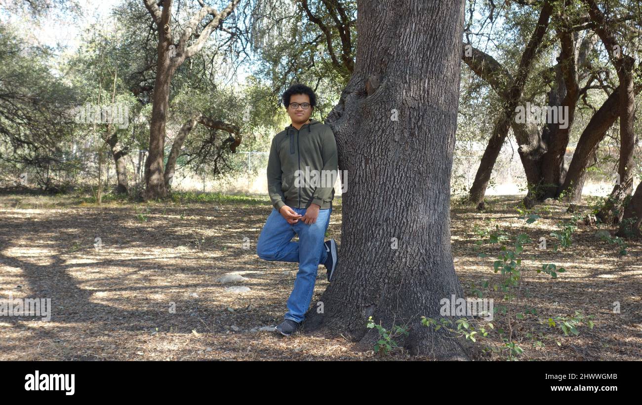 Teenager model  with jeans and glasses among the oaks Stock Photo