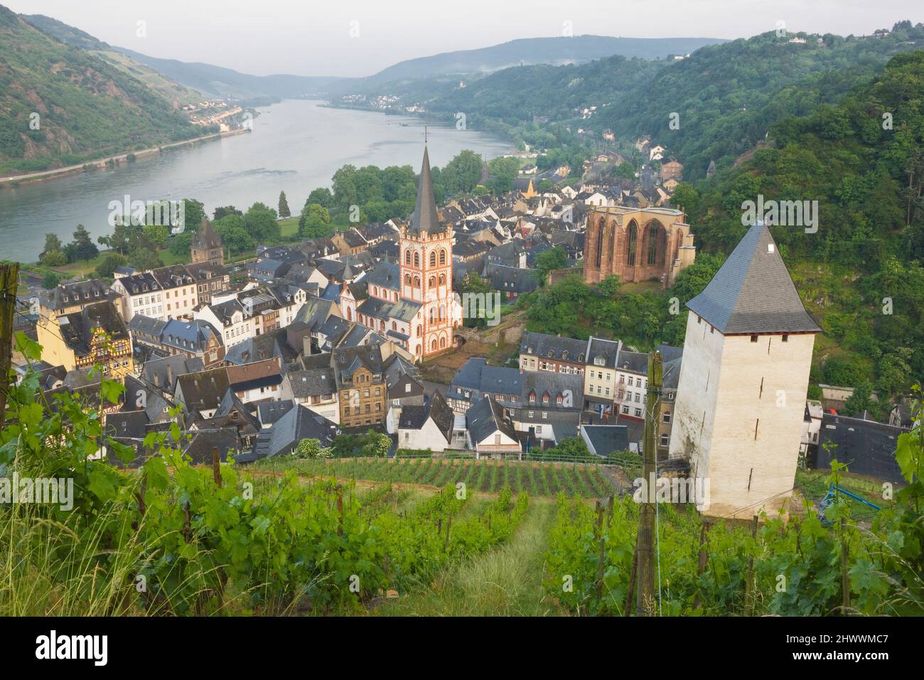 Overview of Bacharach and surrounding Vineyards, Rhineland-Palatinate, Germany Stock Photo