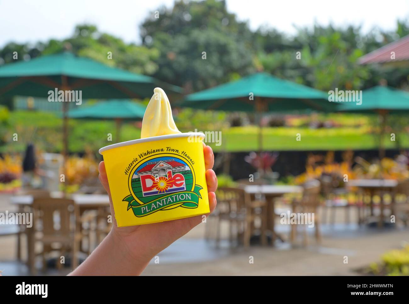 The historic Dole pineapple plantation in Wahiawa, Oahu HI Stock Photo