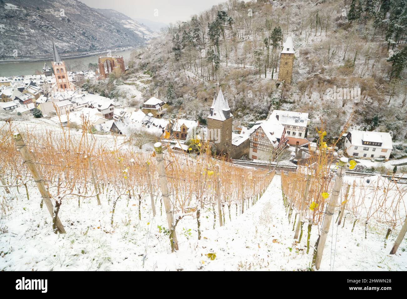 Overview of Bacharach and surrounding Vineyards in winter, Rhineland-Palatinate, Germany Stock Photo