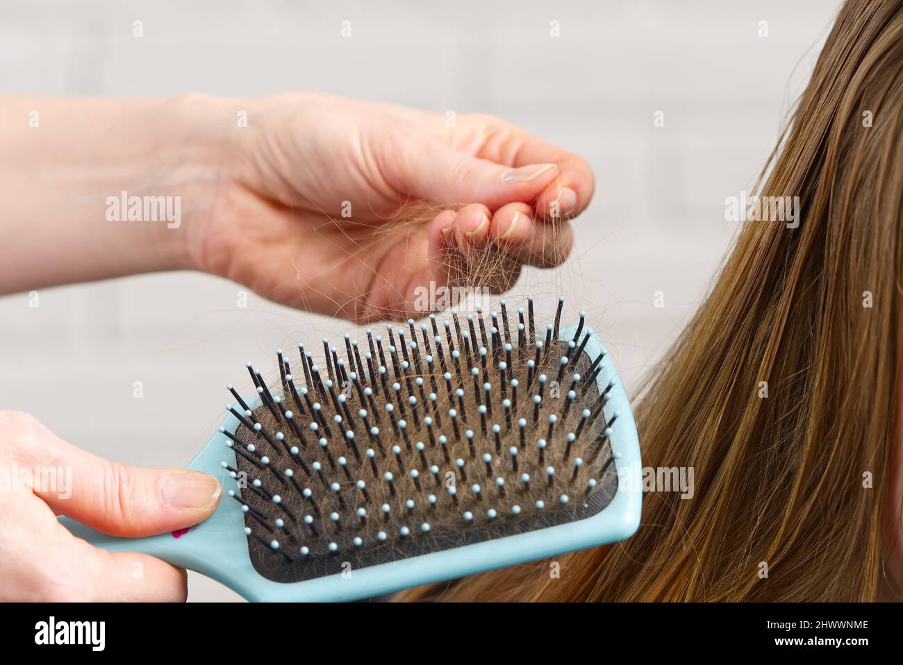 Hair stuck on a comb, blurred background. Hair brush with damaged hair