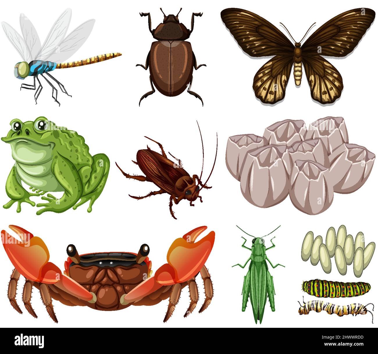Different kinds of insects and animals on white background illustration Stock Vector