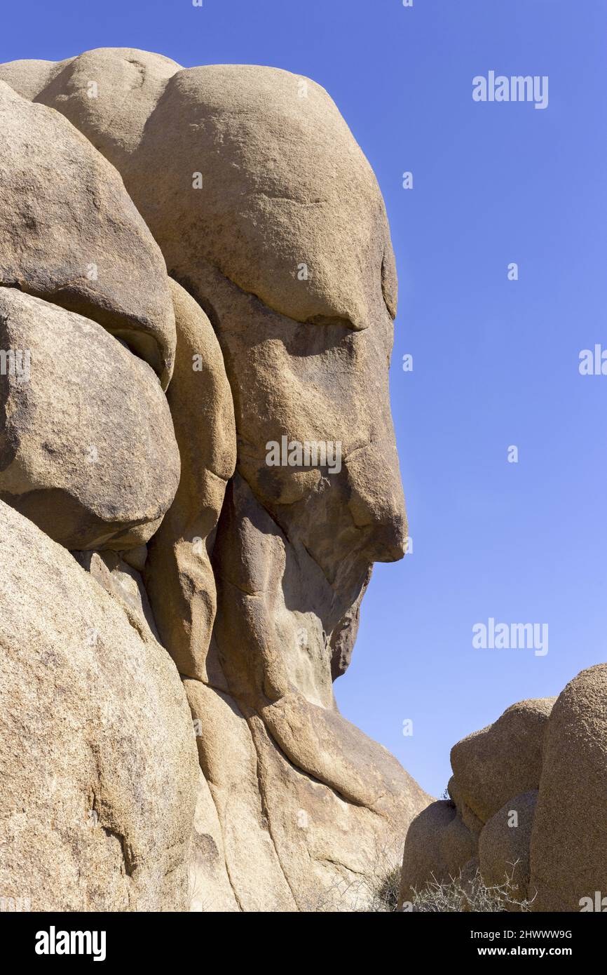 Face Rock Stone Feature Vertical Portrait in Joshua Tree National Park, California USA Stock Photo