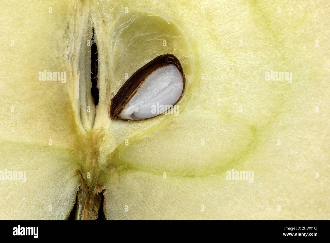 extreme close up of a halved apple with a sliced apple core Stock Photo