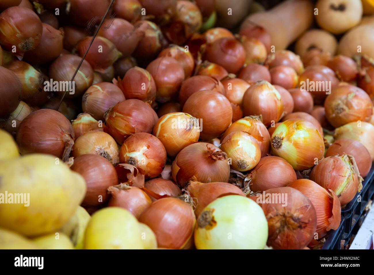 Pile of different onion varieties on market counter Stock Photo - Alamy