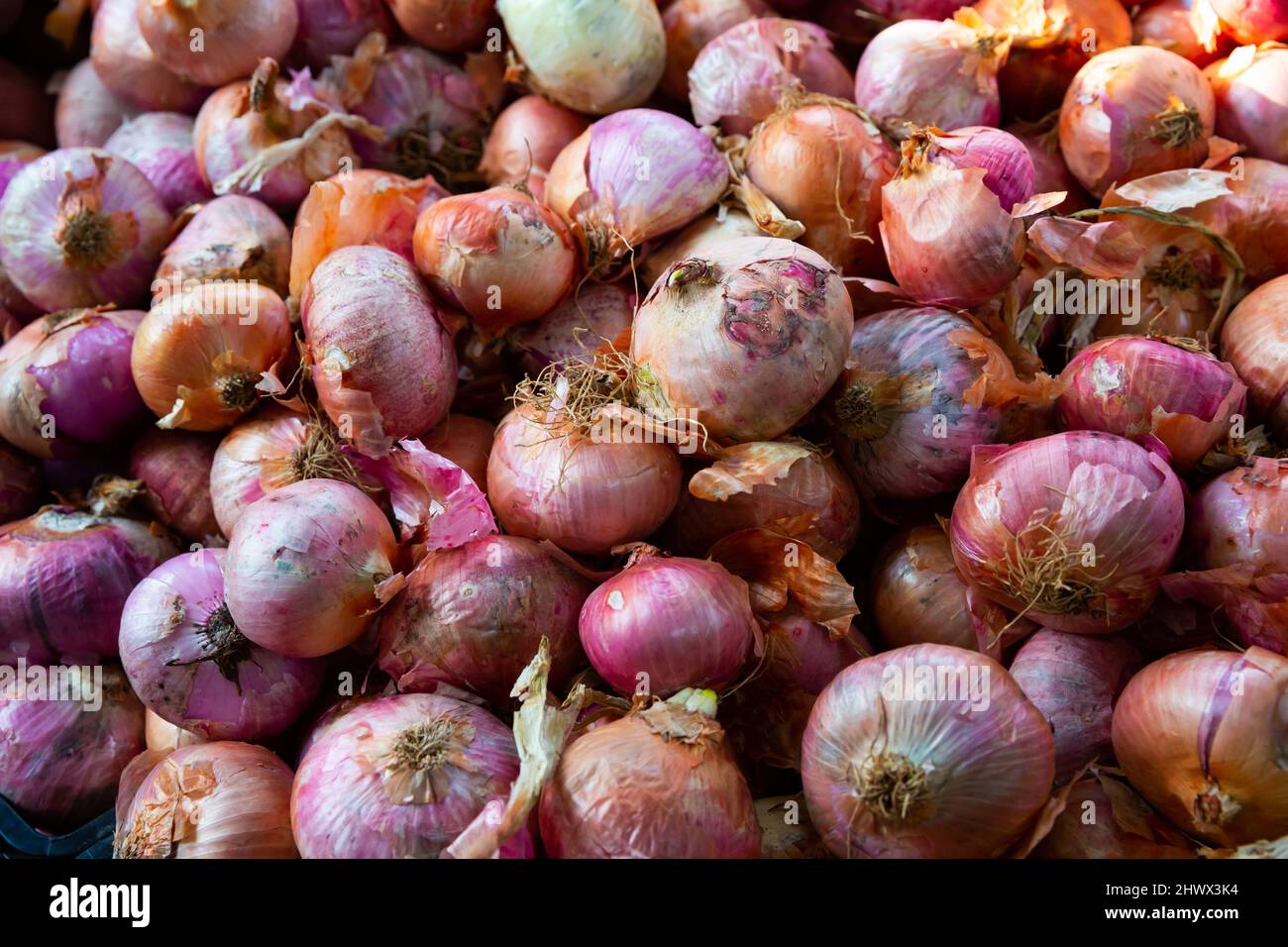 Pile of different onion varieties on market counter Stock Photo - Alamy