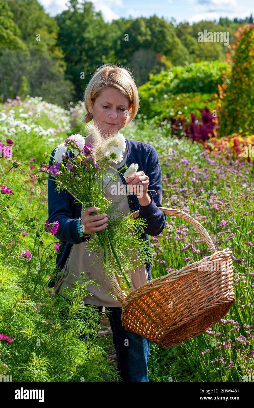Woman and basket of flowers hi-res stock photography and images - Alamy
