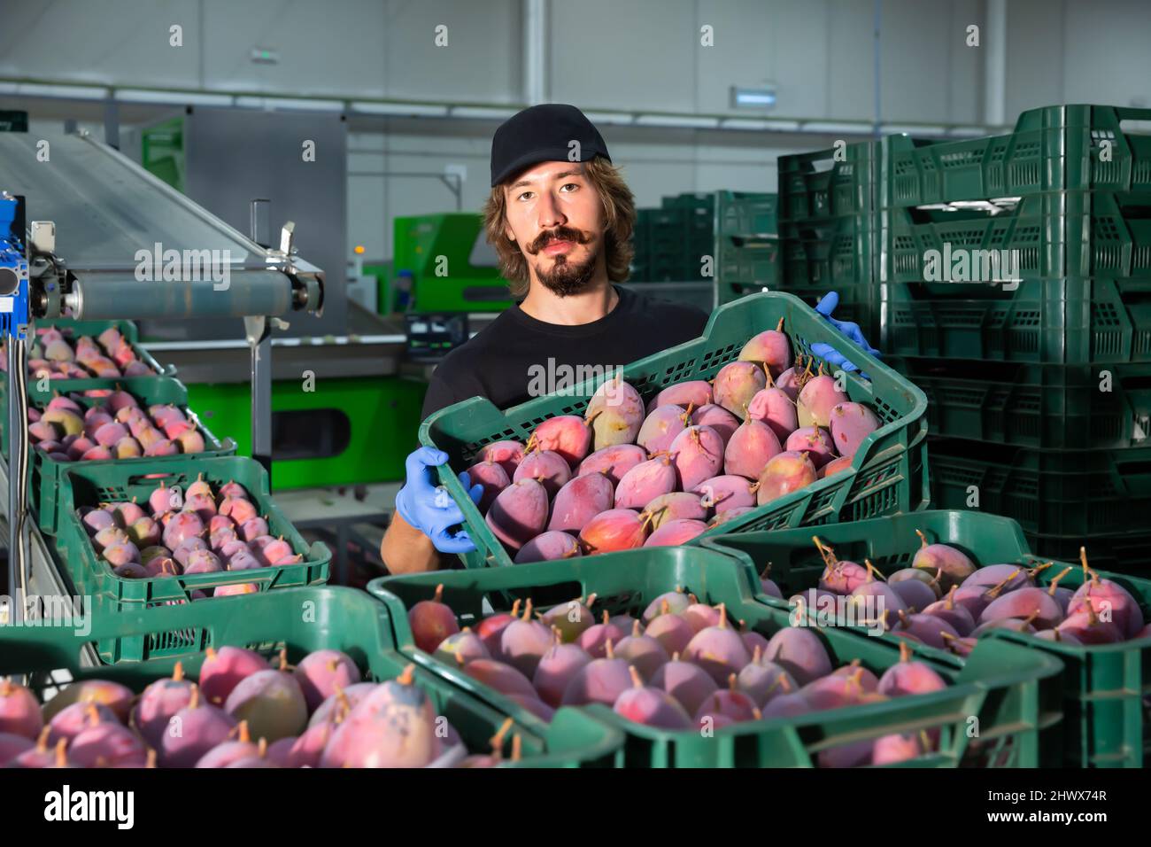 Active man during packaging at warehouse Stock Photo - Alamy