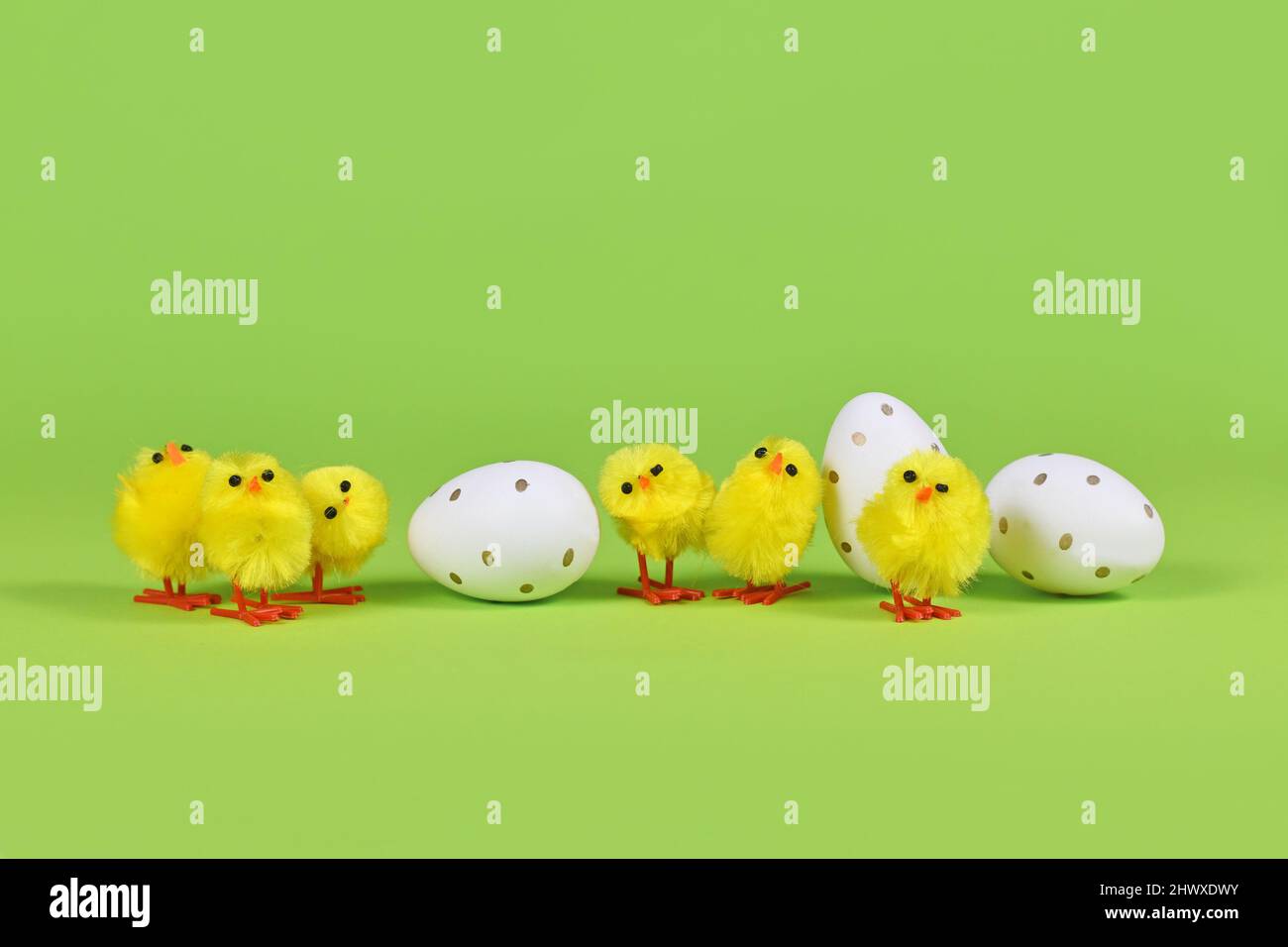 Decorative small easter chickens and eggs in a row on green background Stock Photo