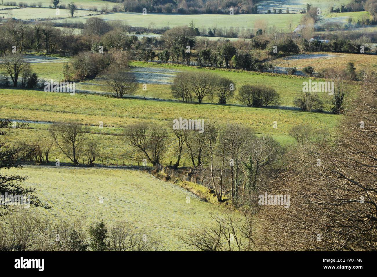 Spring morning at Lurganboy, County Leitrim, Ireland featuring tree-lined fields of frost-dusted farmland pastures Stock Photo