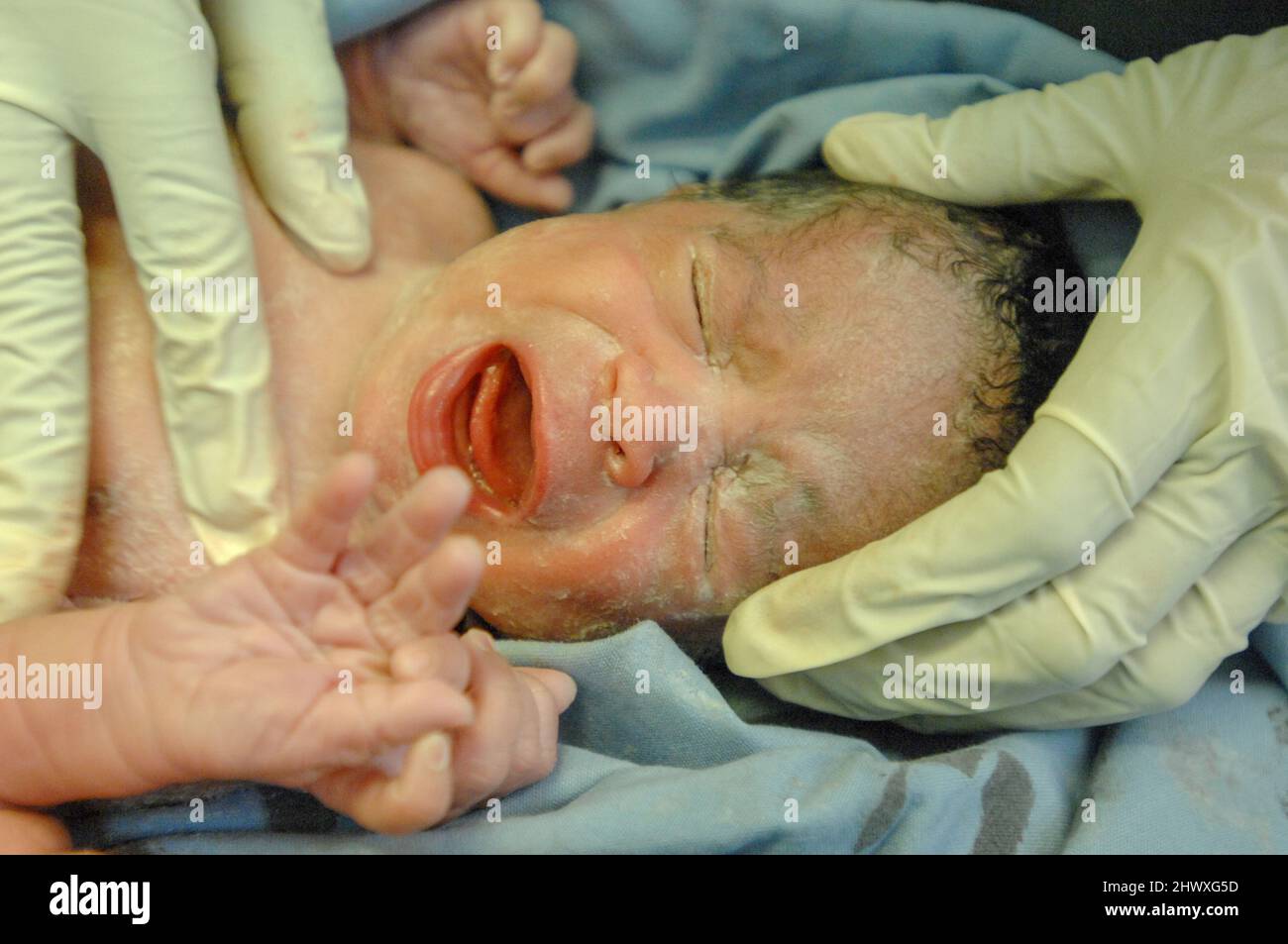 Paediatrition examines a newborn baby Stock Photo
