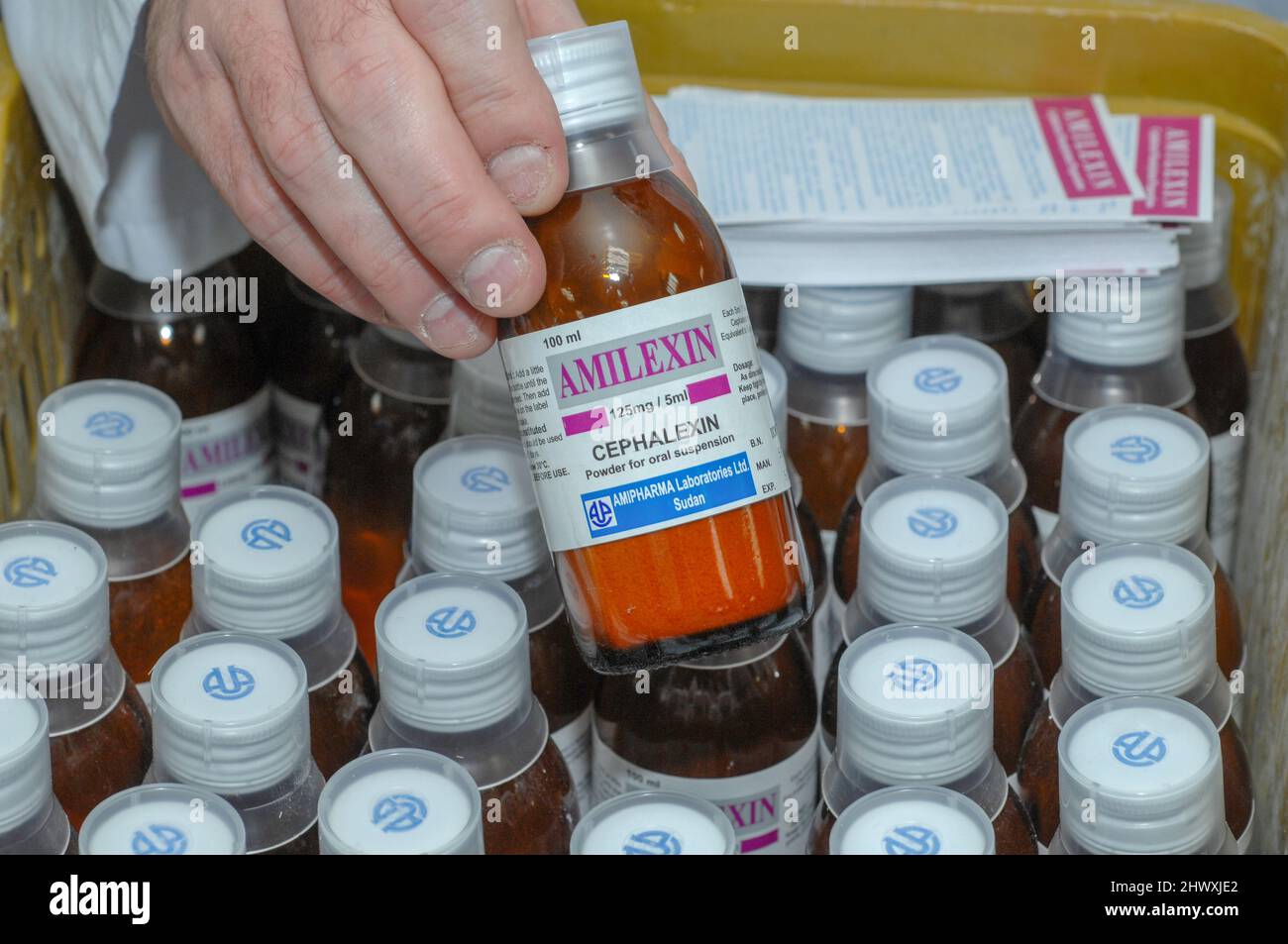 Can You Give A Dog Cephalexin For Ear Infection