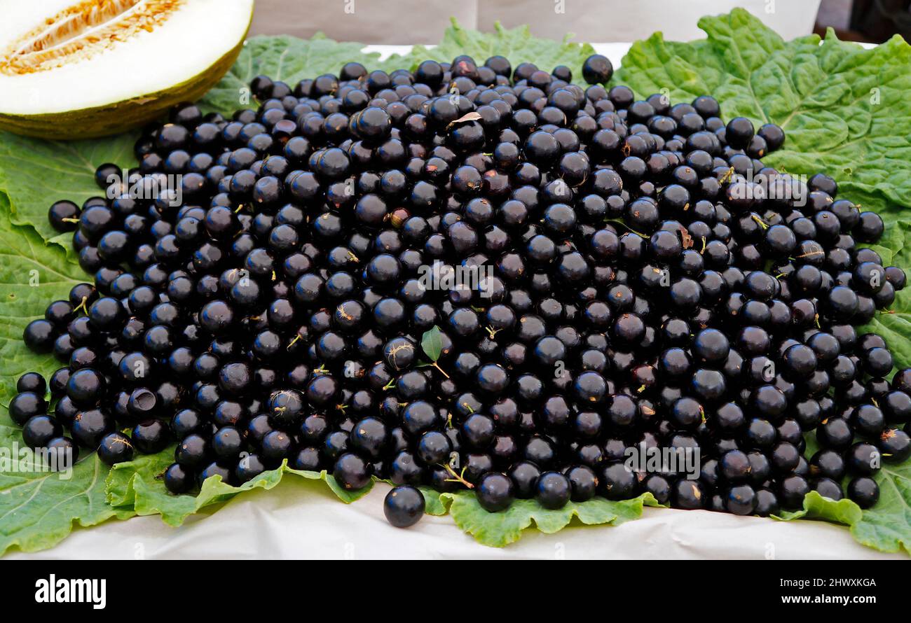 Brazilian grapetree fruits (Plinia cauliflora) on marketplace Stock Photo