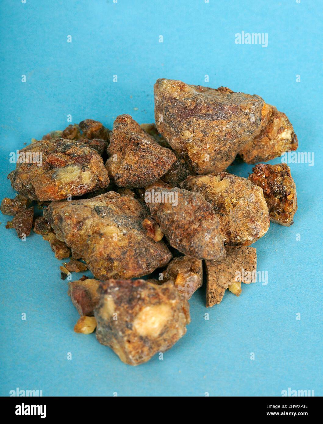 Benzoin Sumatra, probably better known as Friar’s Balsam, has two main