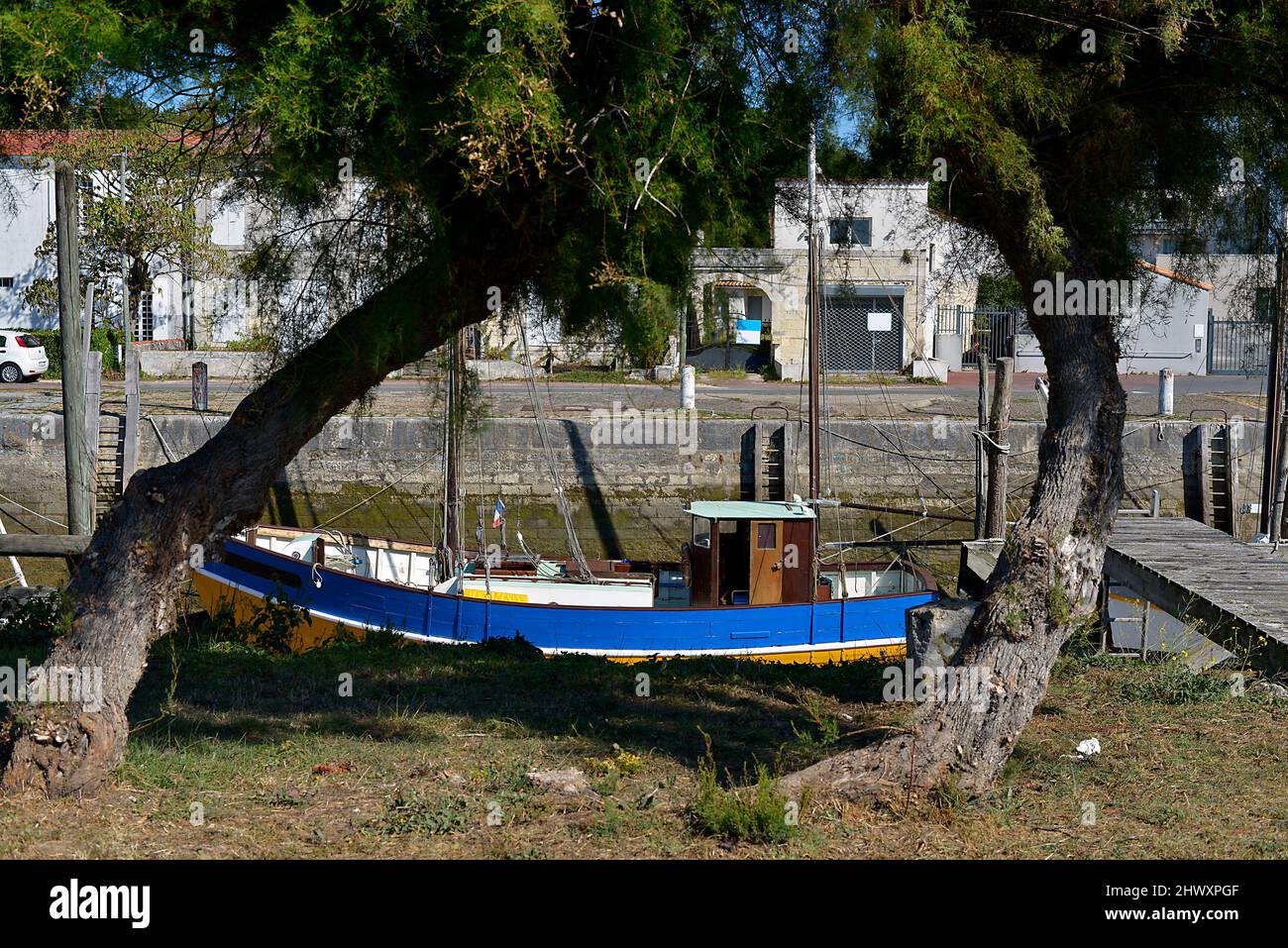 Boat and two tamarisk trees at La Tremblade, a commune in the Charente-Maritime department and Nouvelle-Aquitaine region in south-western France Stock Photo