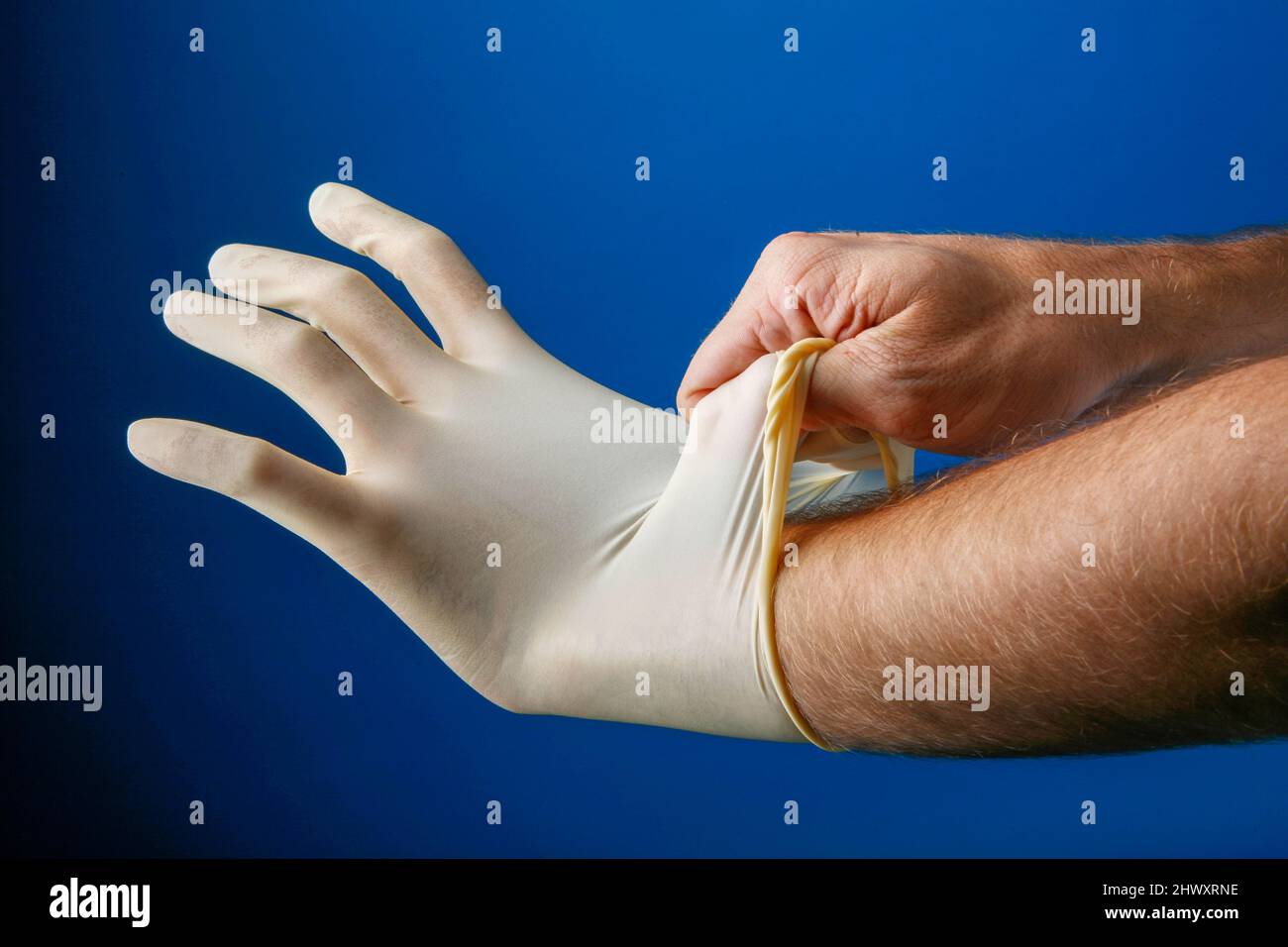 Male putting on a pair of protective latex gloves Stock Photo Alamy