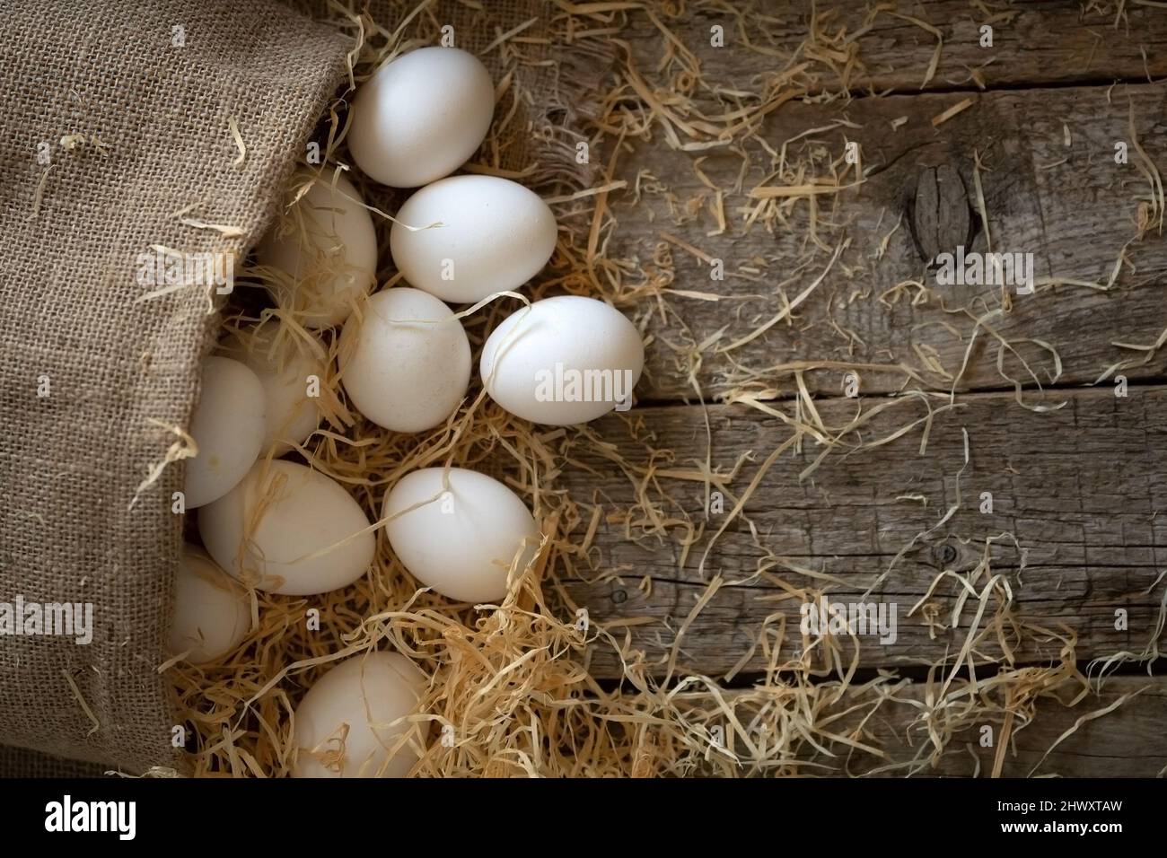 White chicken eggs rolled out of the burlap sack on wooden boards with ...