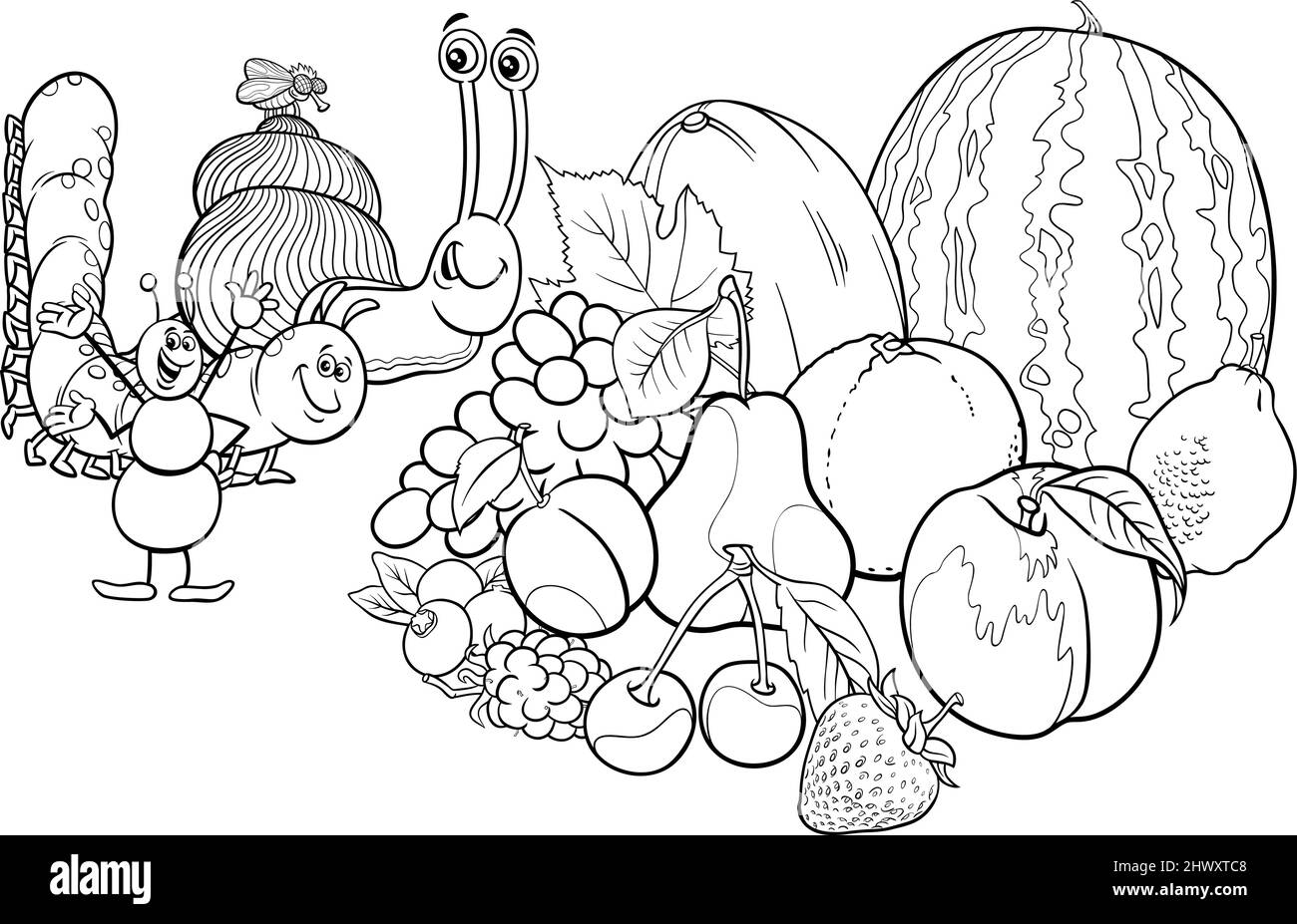 Black and white cartoon illustration of funny insects characters and snail with fresh fruit coloring book page Stock Vector