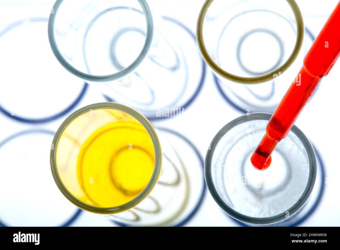 Pipetting red liquid into test tubes. (Medicimage Stock Photo - Alamy