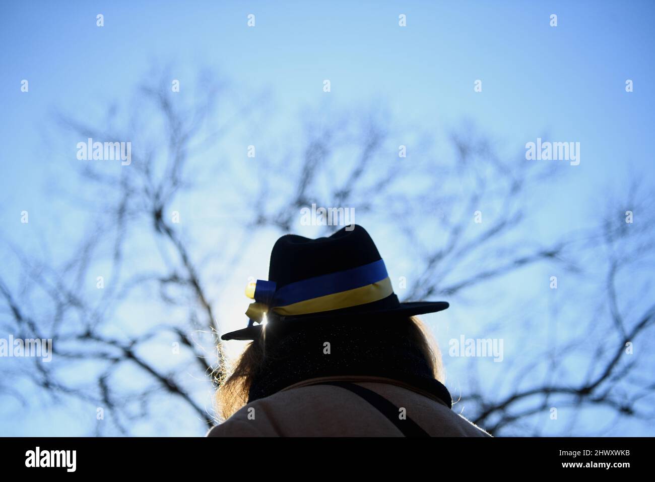 Ukrainian flag attends a demonstration 