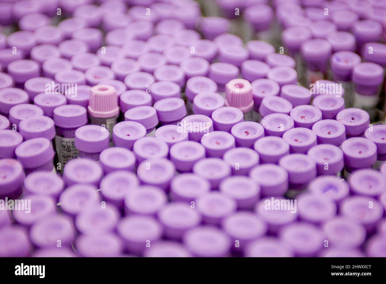 Blood type blood blood group classification type sample blood test hi