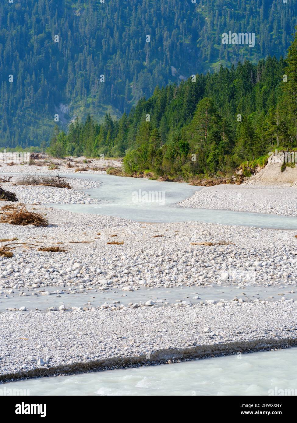 Creek Rissbach, one of the few wild braided rivers in Germany, near village Vorderriss in the Karwendel Mountains. Europe, Germany, Bavaria Stock Photo