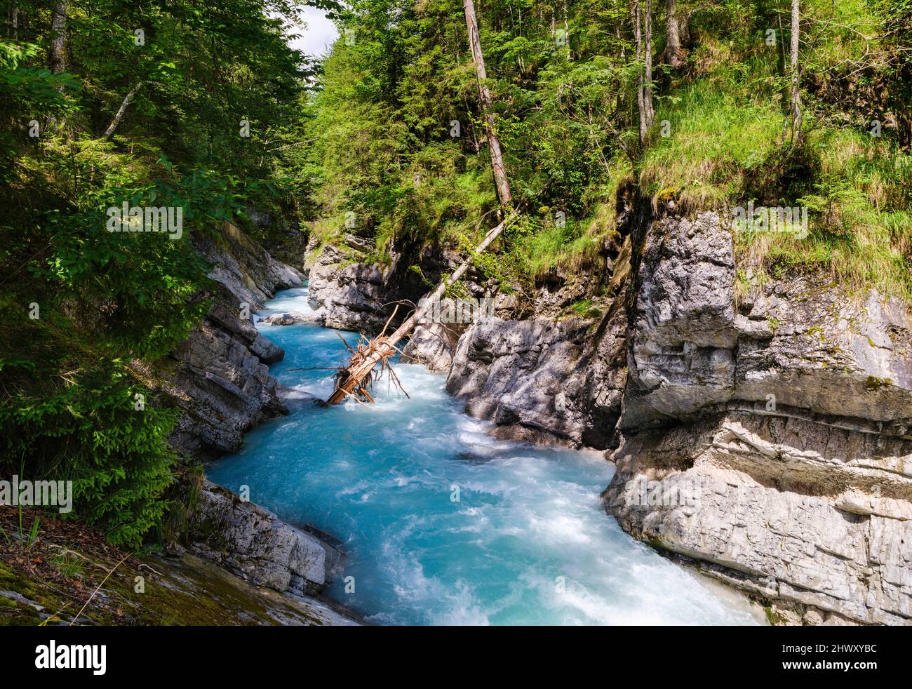 Gorge of creek Rissbach near village Vorderriss in the Karwendel Mountains. Europe, Germany, Bavaria Stock Photo