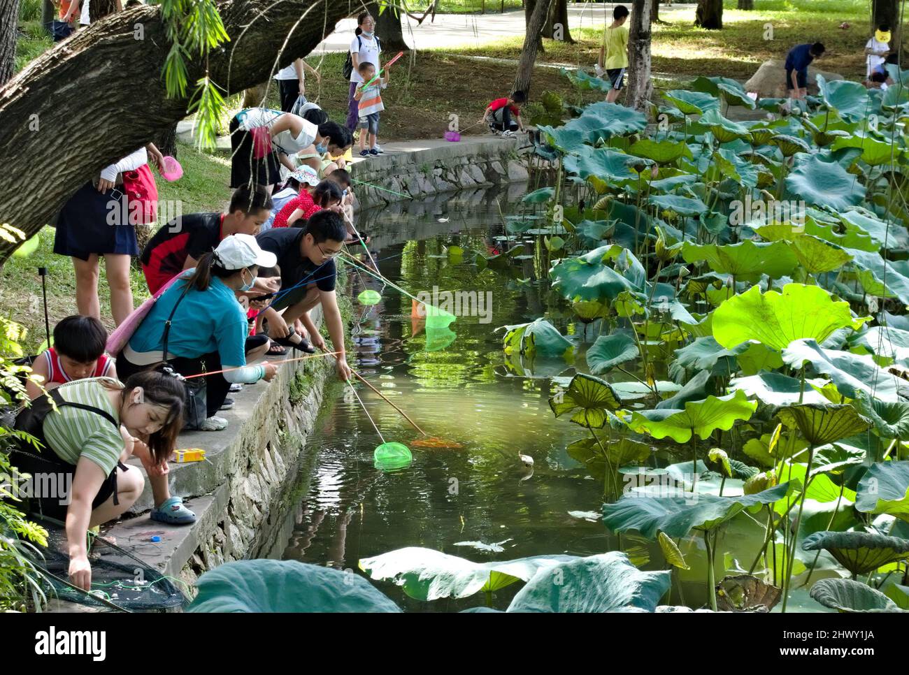 Weekend fun fishing in a pond in Shenzhen, China Stock Photo