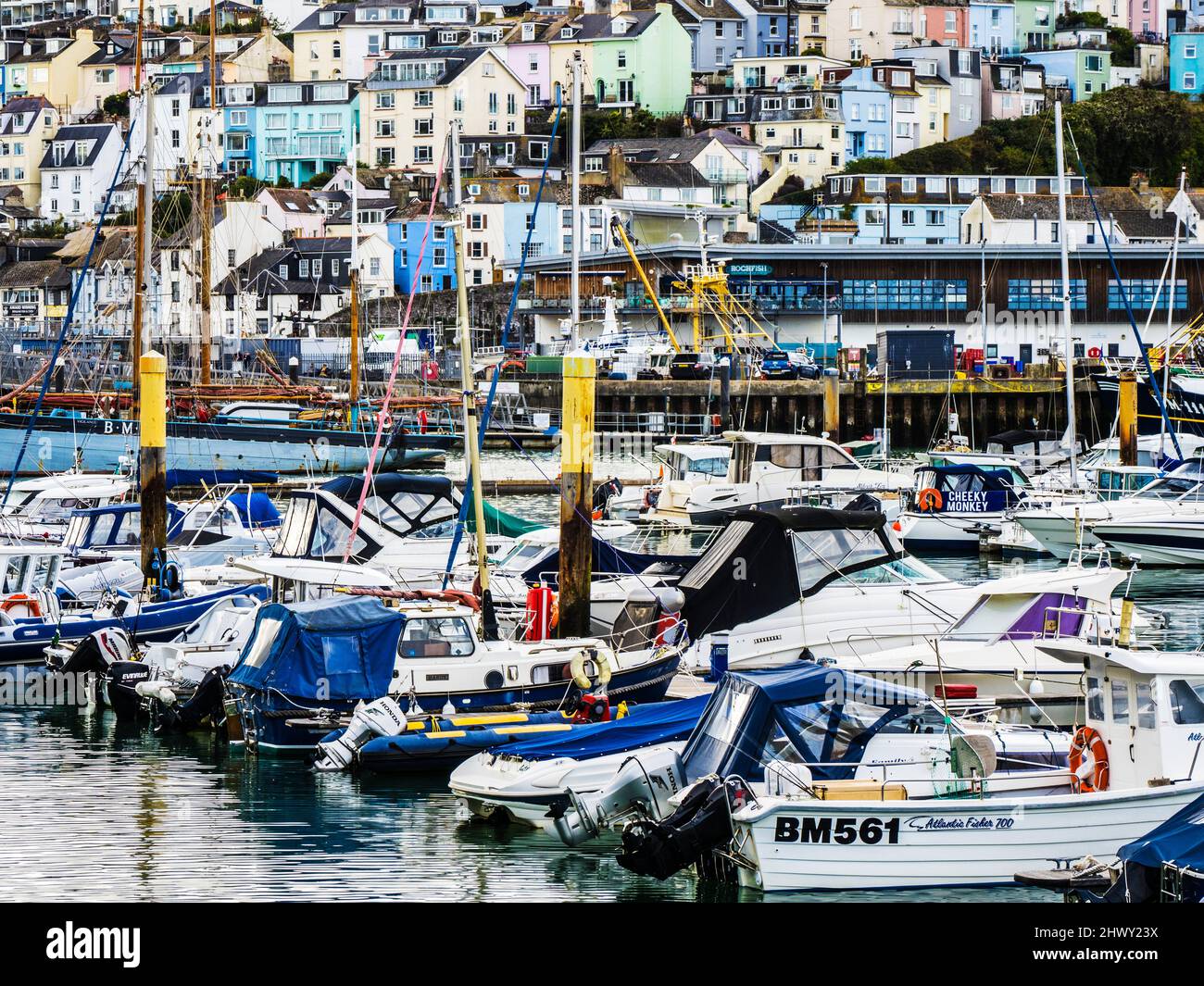 Brixham harbour and town in south Devon. Stock Photo