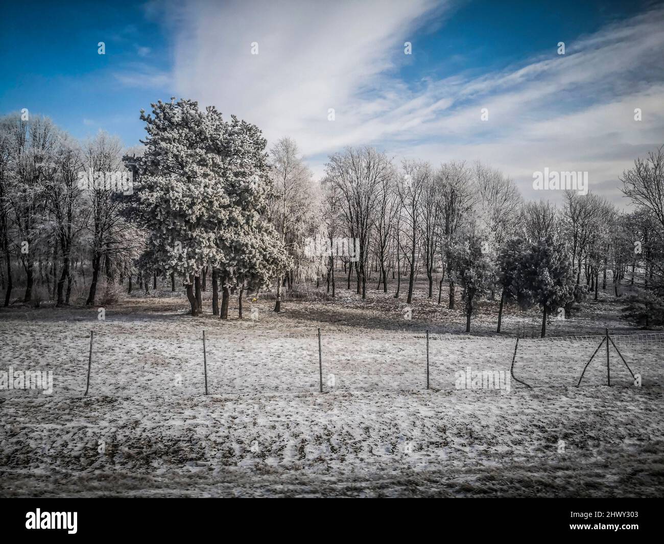 Woods and a meadow covered with snow in Serbian countryside Stock Photo