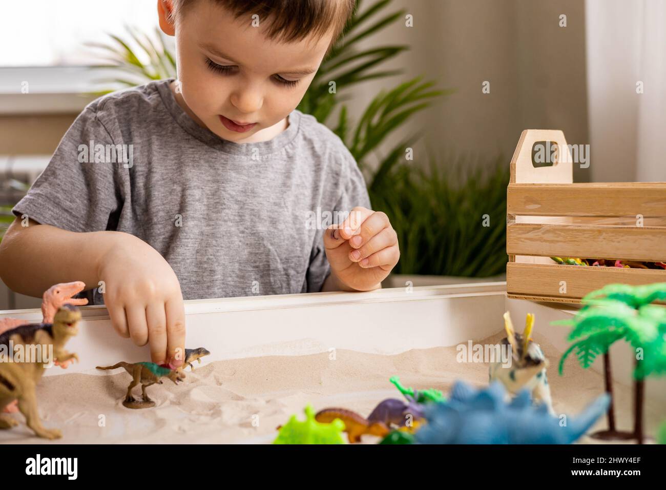Cute baby boy playing sensory box dinosaur world kinetic sand table with  carnivorous and herbivorous dinosaurs. Male kid enjoying early development  ga Stock Photo - Alamy