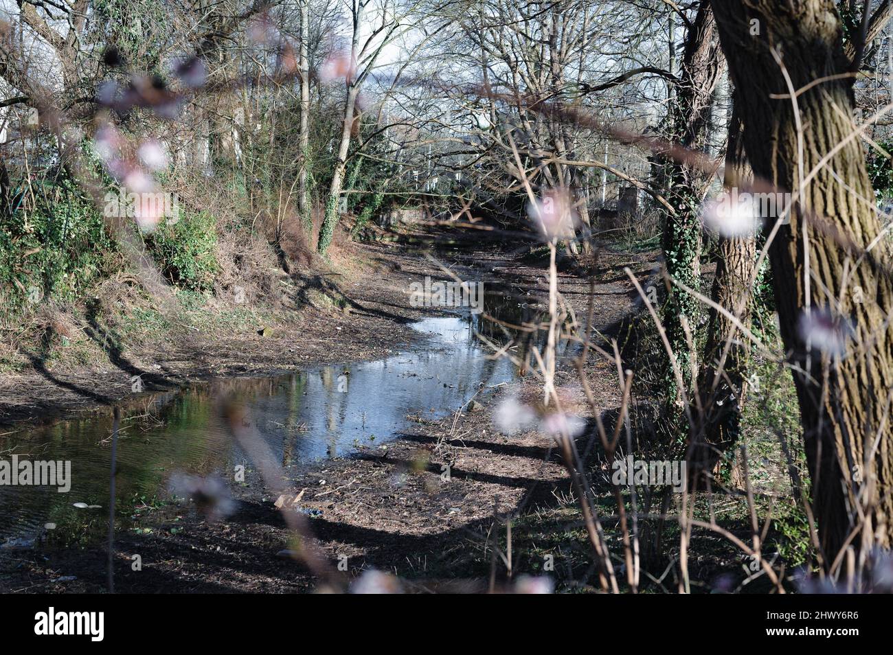 A stream with low water an rich vegetation on the banks Stock Photo