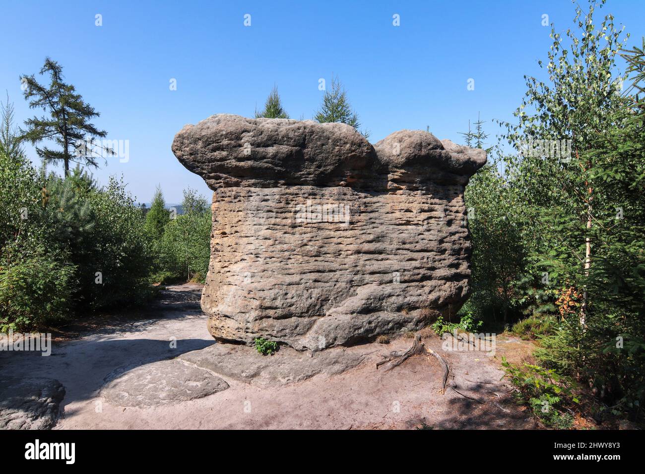 Stone Mushrooms - rock formation in Broumov Walls (Broumovske steny), mountain range and nature reserve, part of Table Mountains in Czech Republic Stock Photo