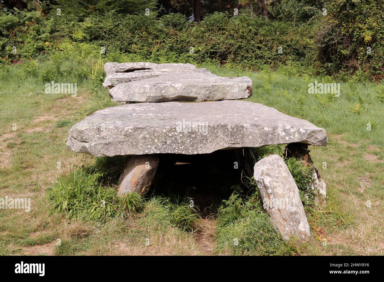 Dolmen Prajou-Menhir - megalithic monument in Trebeurden in Brittany, France Stock Photo