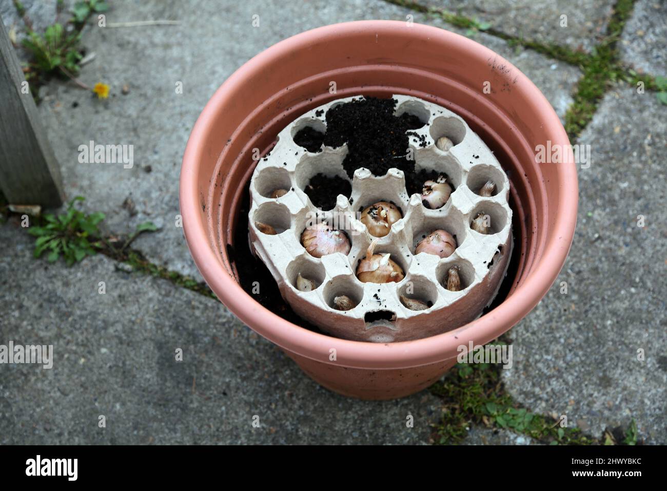 pot plant holders Matt White Ceramic Pot Holder | Planter
