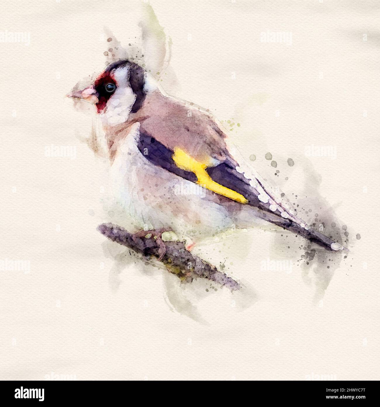 A watercolour effect Goldfinch perched on a branch Stock Photo