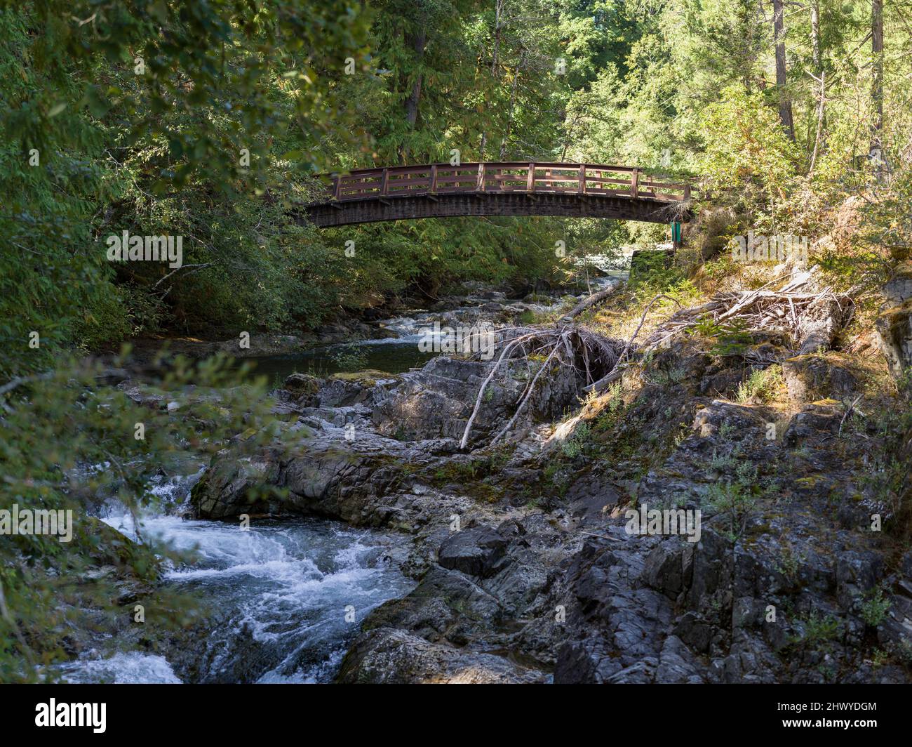 Bridge over Ravine in Englishman River Falls Provincial Park, Vancouver Island Stock Photo
