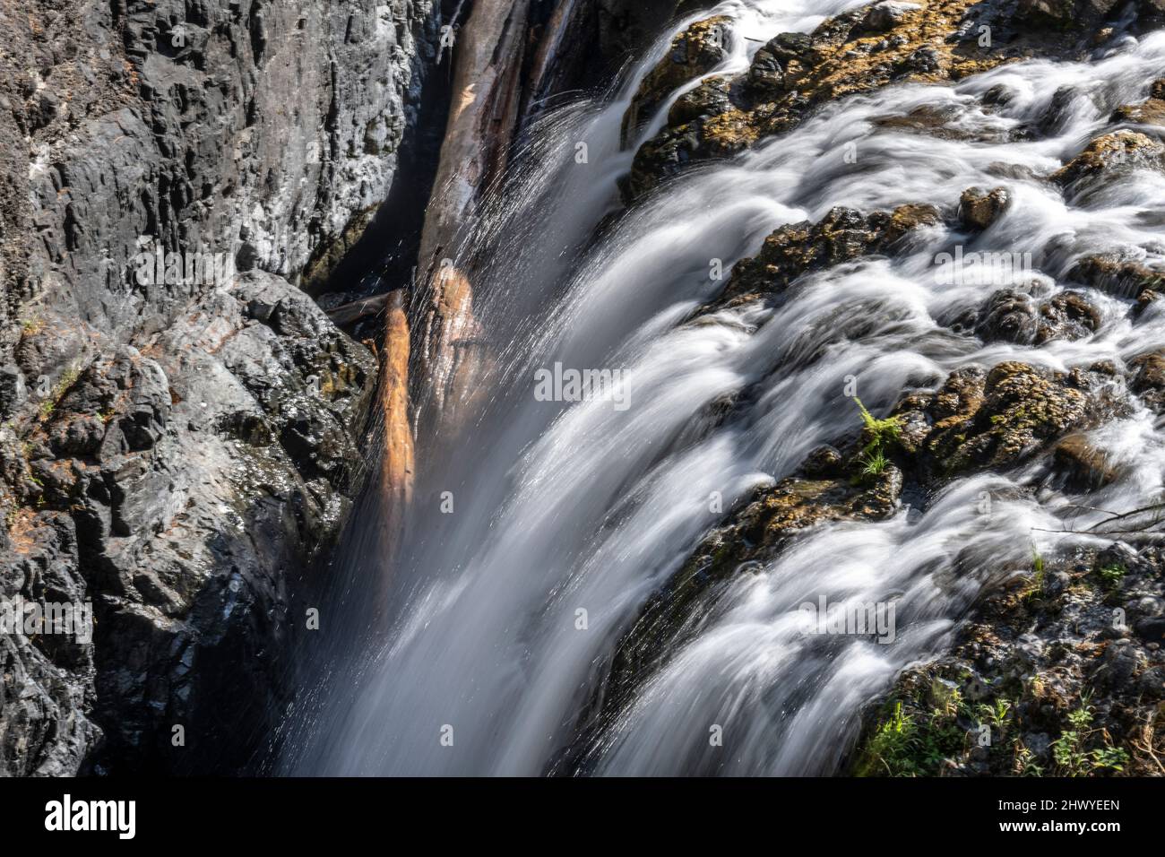 Waterfall in Englishman River Falls Provincial Park, Vancouver Island, British Columbia, Canada Stock Photo