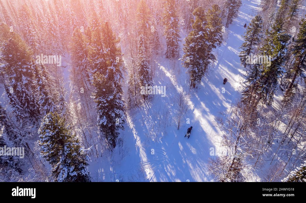 Forest Aerial Rides Team Snowmobile rides through winter forest fresh snow sun light ...
