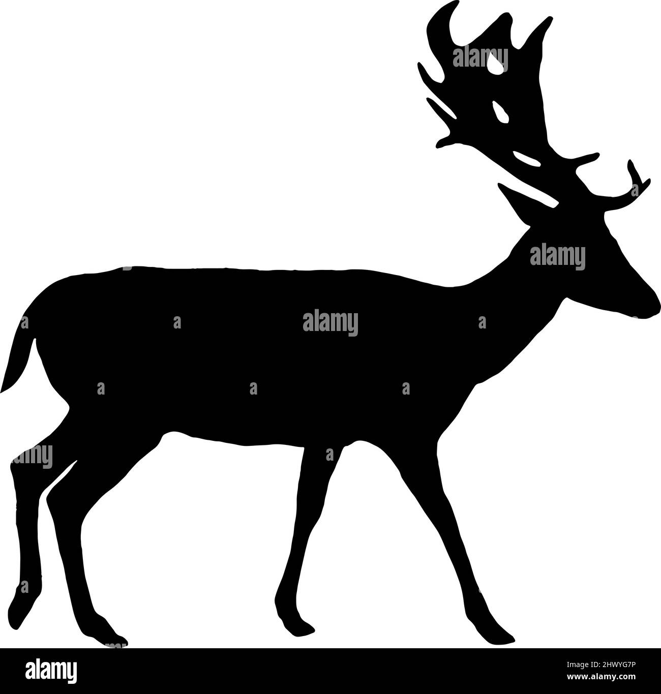 Deer with antlers silhouette in black on white background Stock Vector