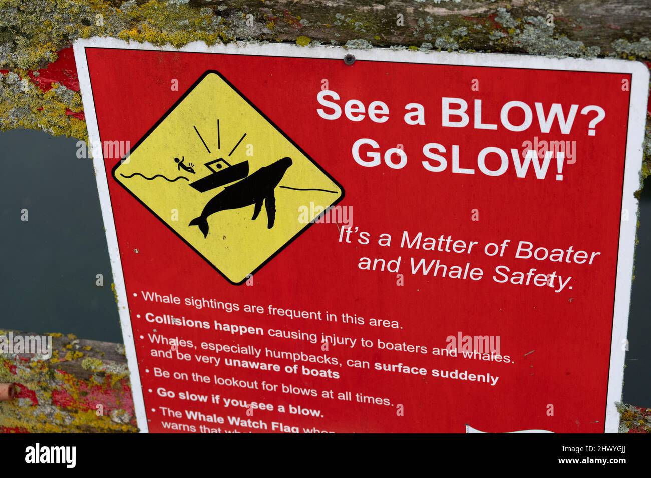 Whale caution warning sign along the shoreline of Cormorant Island, Johnstone Strait, British Columbia, Vancouver Island, Canada Stock Photo
