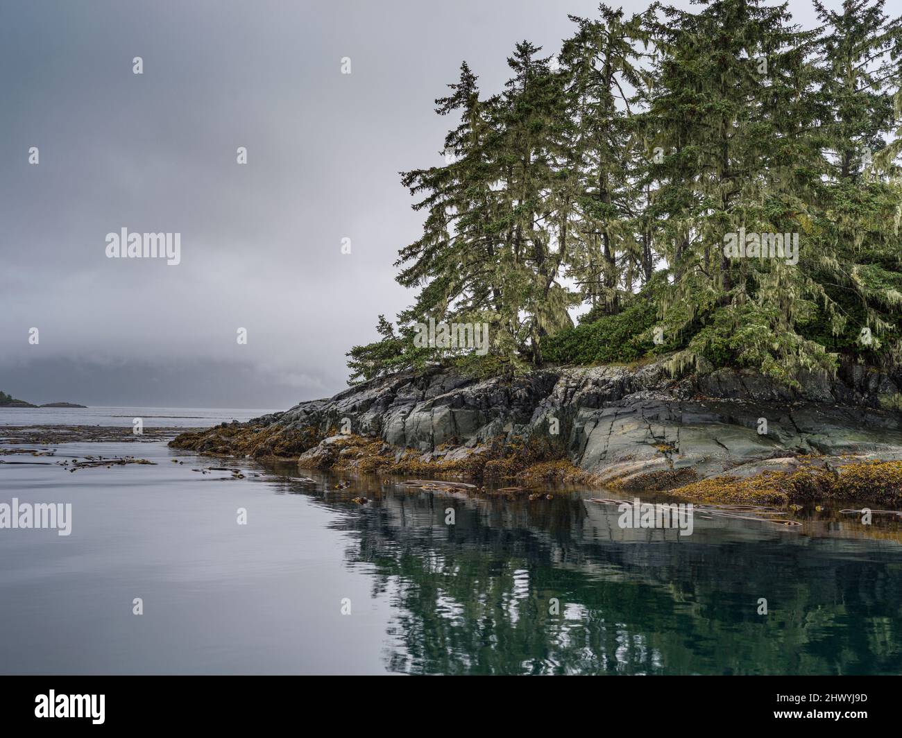 Rocky shoreline along Johnstone Strait, Vancouver Island, British Columbia, Canada Stock Photo